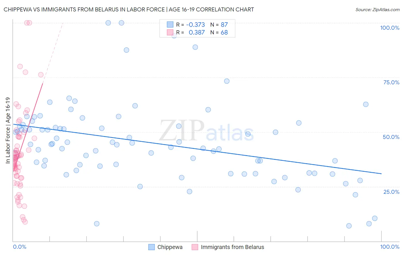 Chippewa vs Immigrants from Belarus In Labor Force | Age 16-19