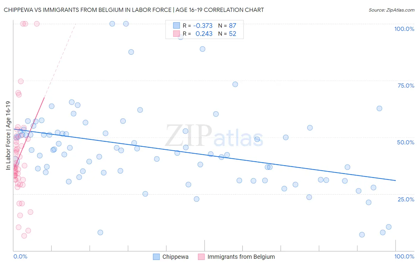 Chippewa vs Immigrants from Belgium In Labor Force | Age 16-19