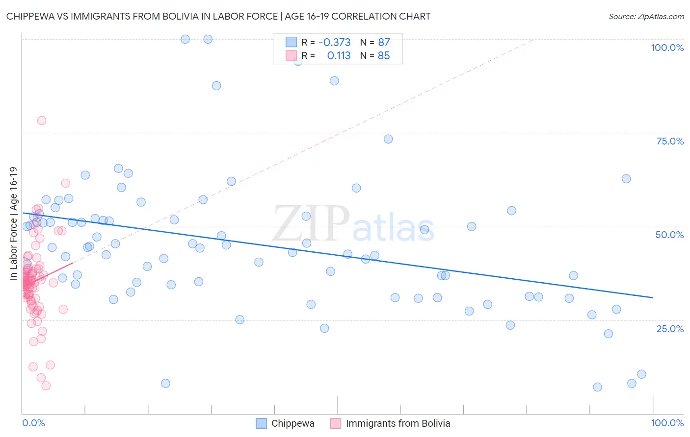 Chippewa vs Immigrants from Bolivia In Labor Force | Age 16-19