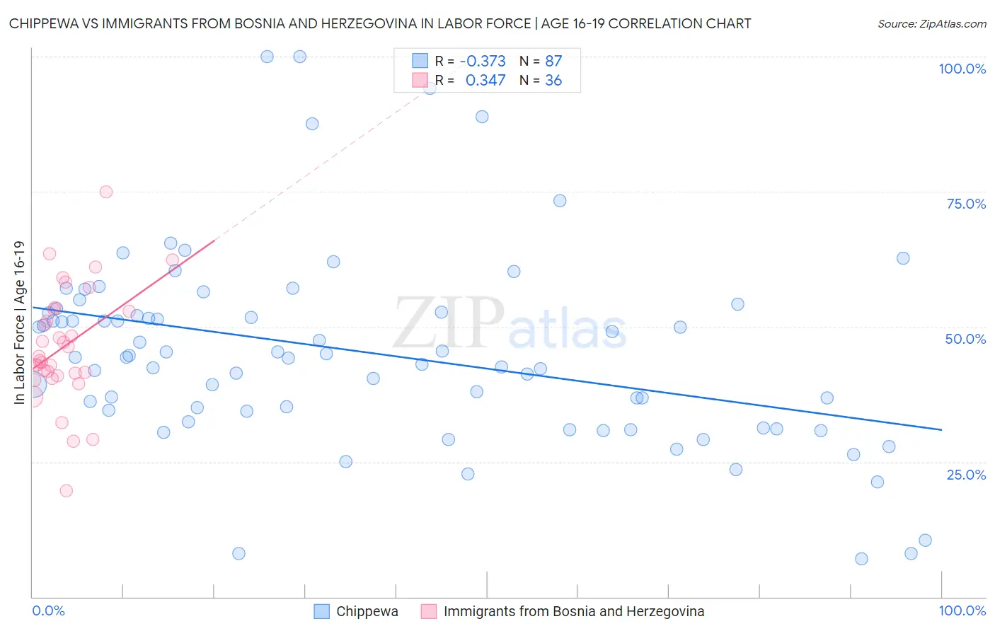 Chippewa vs Immigrants from Bosnia and Herzegovina In Labor Force | Age 16-19