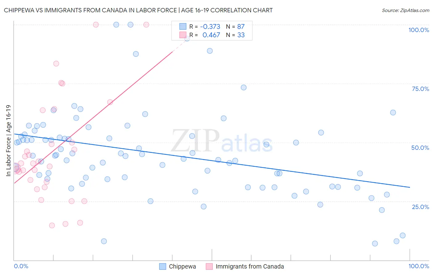 Chippewa vs Immigrants from Canada In Labor Force | Age 16-19