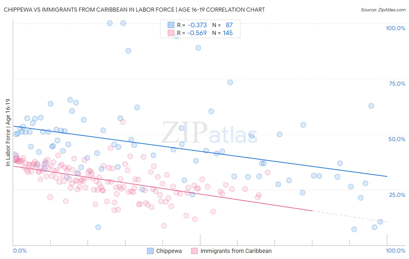 Chippewa vs Immigrants from Caribbean In Labor Force | Age 16-19