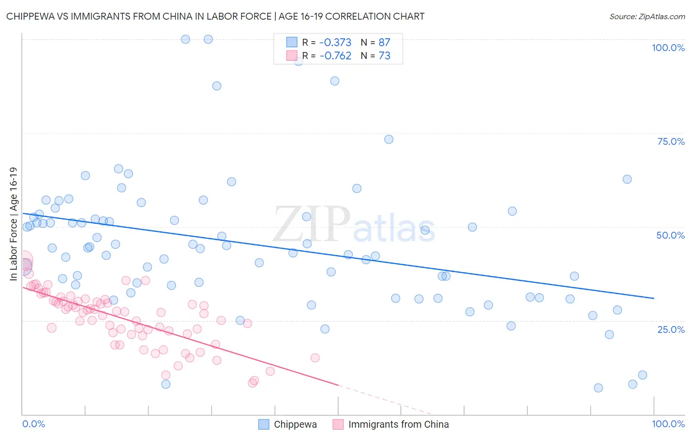 Chippewa vs Immigrants from China In Labor Force | Age 16-19