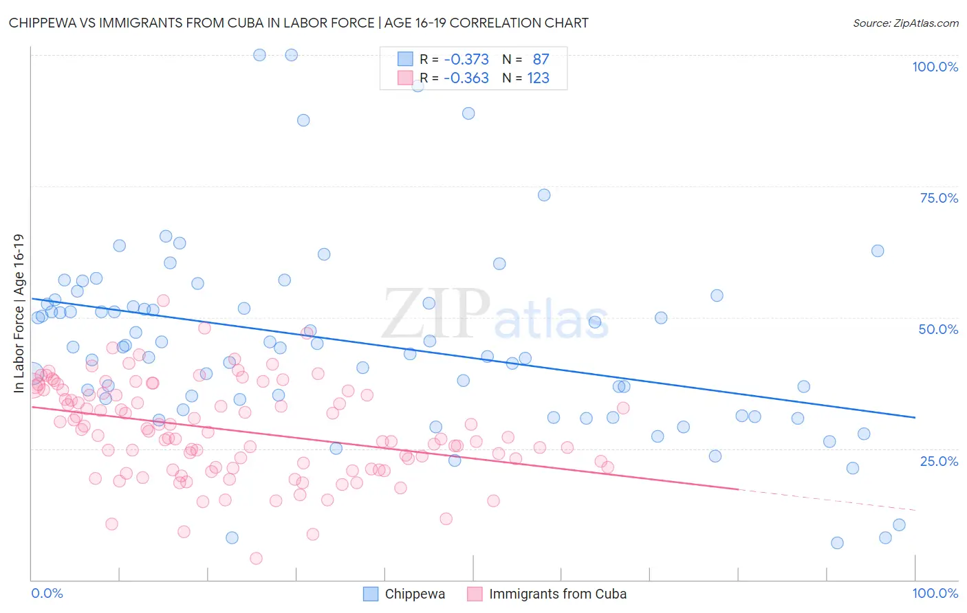 Chippewa vs Immigrants from Cuba In Labor Force | Age 16-19