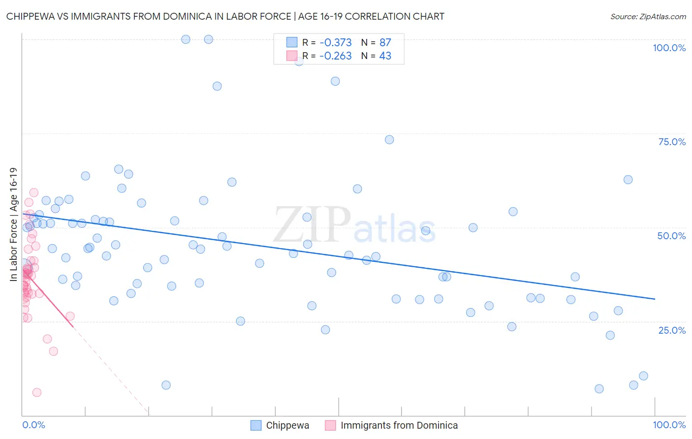 Chippewa vs Immigrants from Dominica In Labor Force | Age 16-19