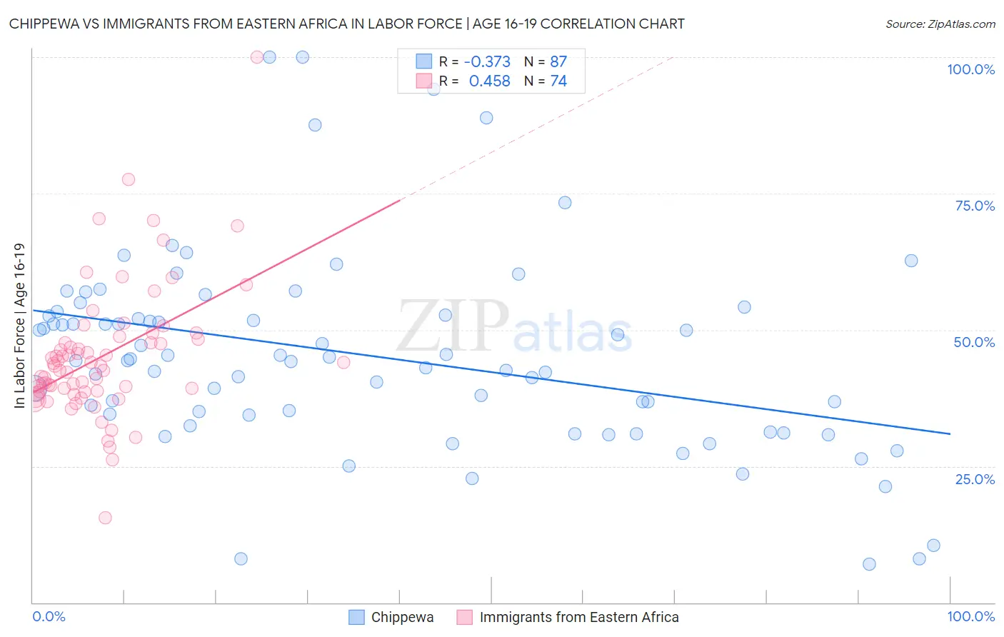 Chippewa vs Immigrants from Eastern Africa In Labor Force | Age 16-19