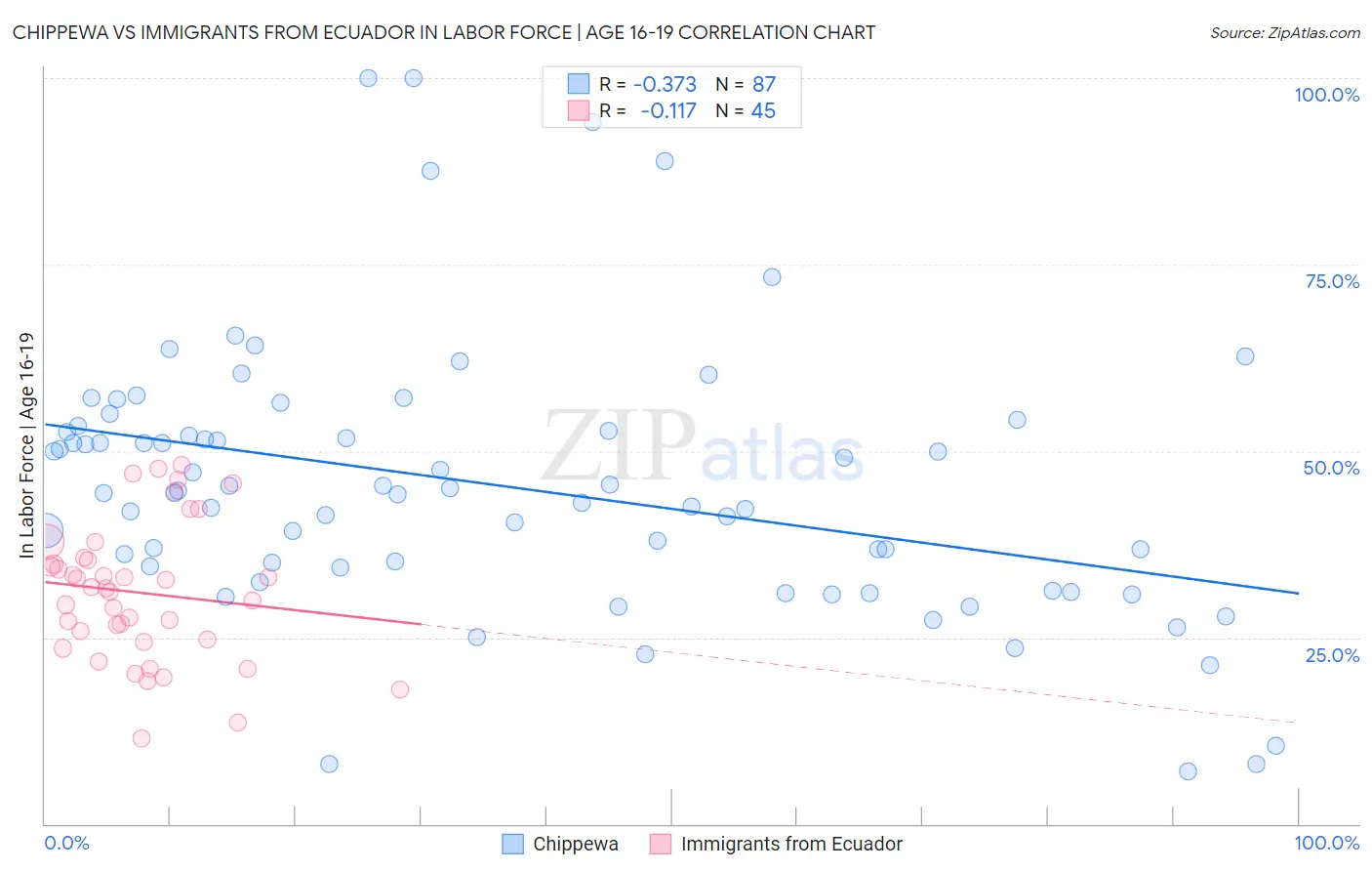 Chippewa vs Immigrants from Ecuador In Labor Force | Age 16-19