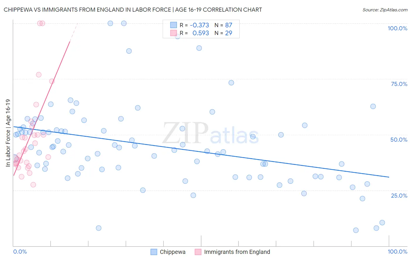 Chippewa vs Immigrants from England In Labor Force | Age 16-19