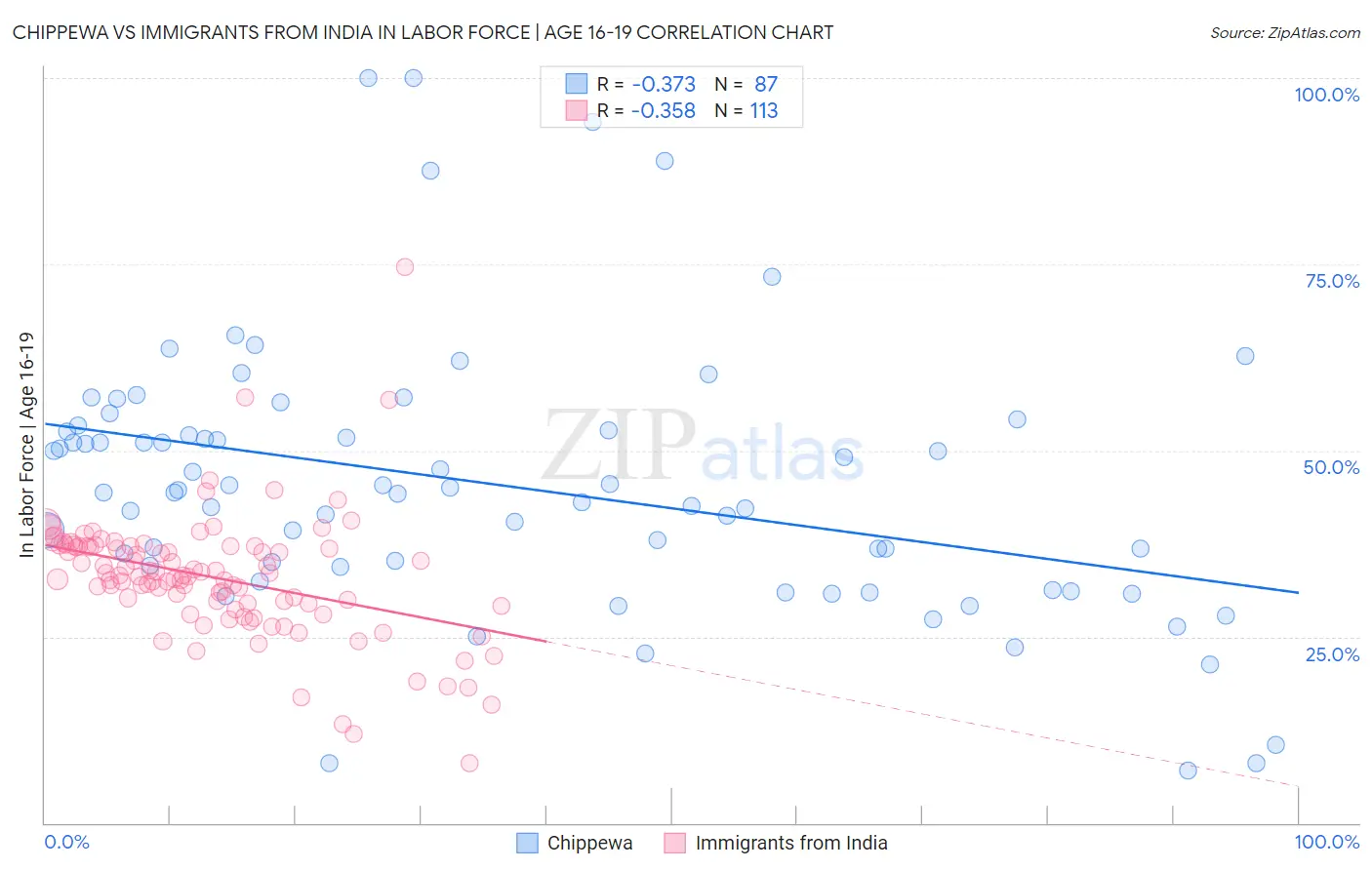 Chippewa vs Immigrants from India In Labor Force | Age 16-19