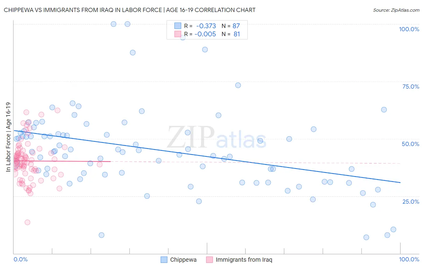 Chippewa vs Immigrants from Iraq In Labor Force | Age 16-19