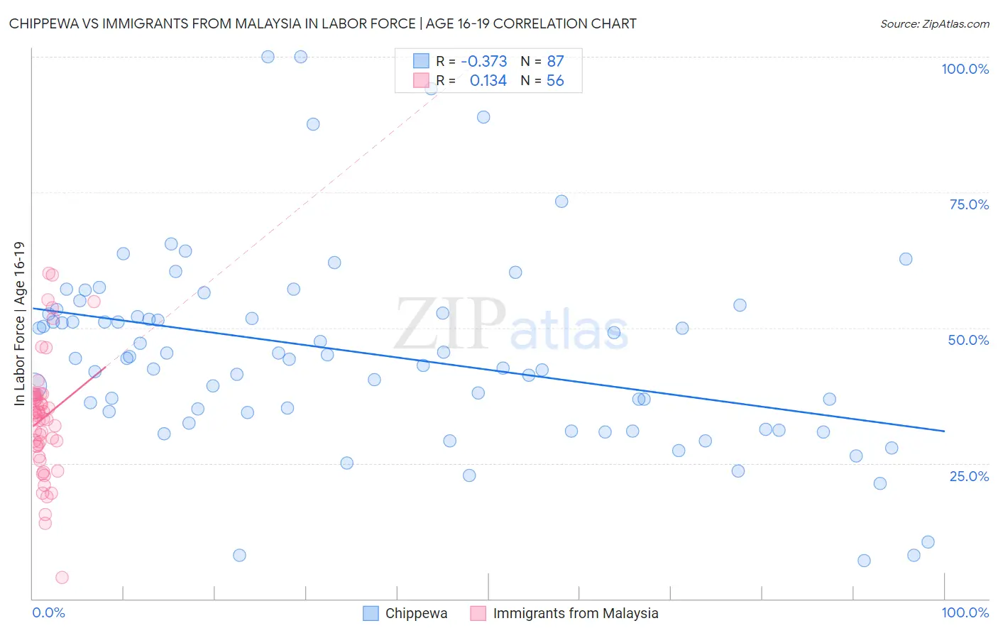 Chippewa vs Immigrants from Malaysia In Labor Force | Age 16-19