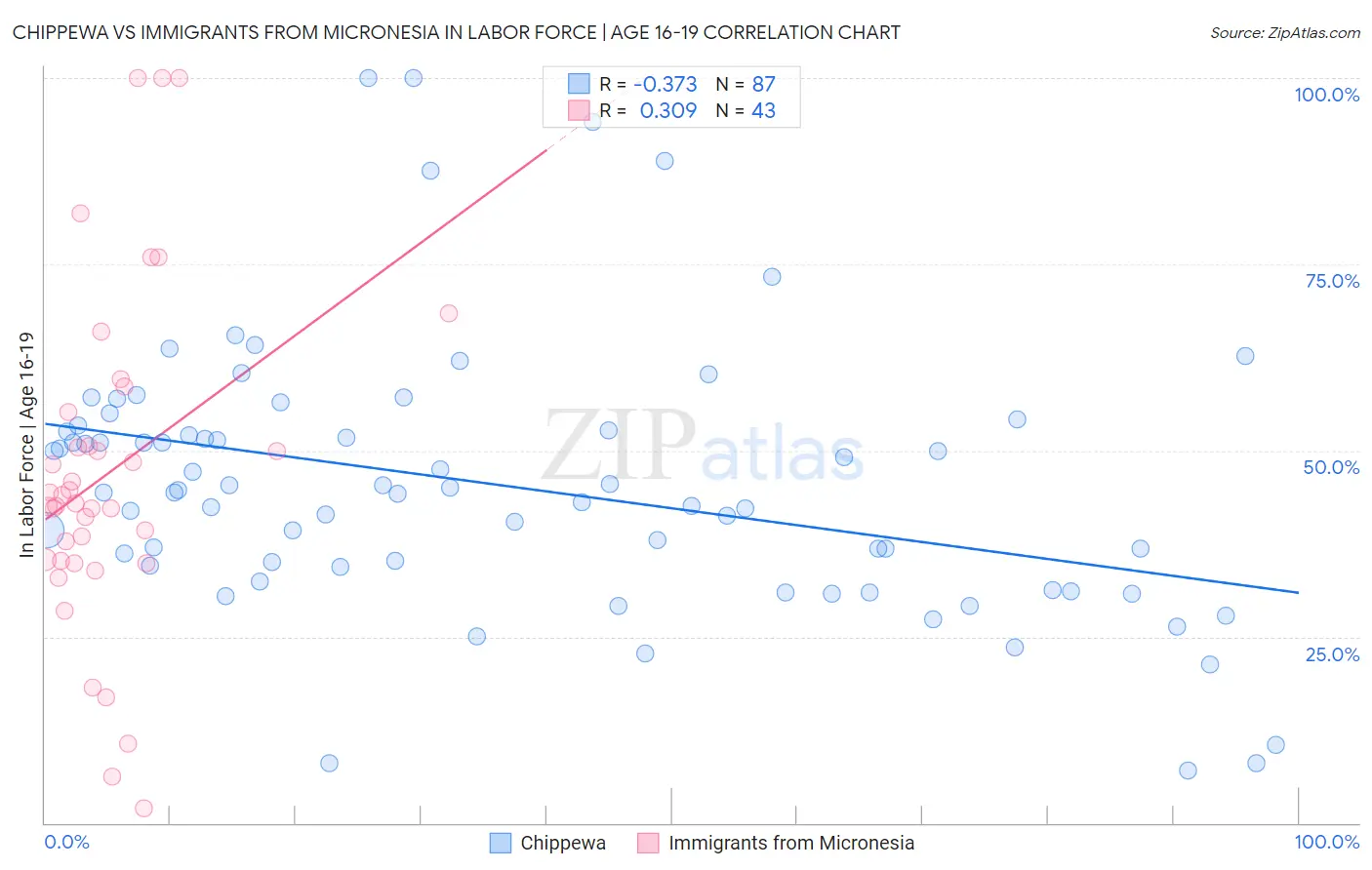 Chippewa vs Immigrants from Micronesia In Labor Force | Age 16-19