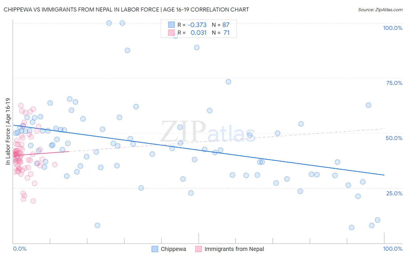 Chippewa vs Immigrants from Nepal In Labor Force | Age 16-19