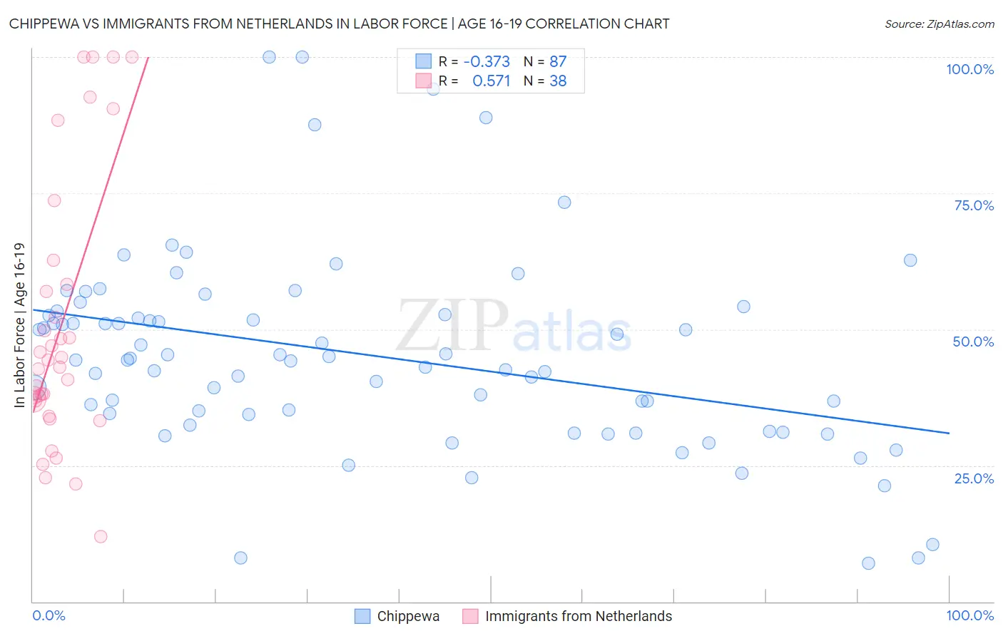 Chippewa vs Immigrants from Netherlands In Labor Force | Age 16-19