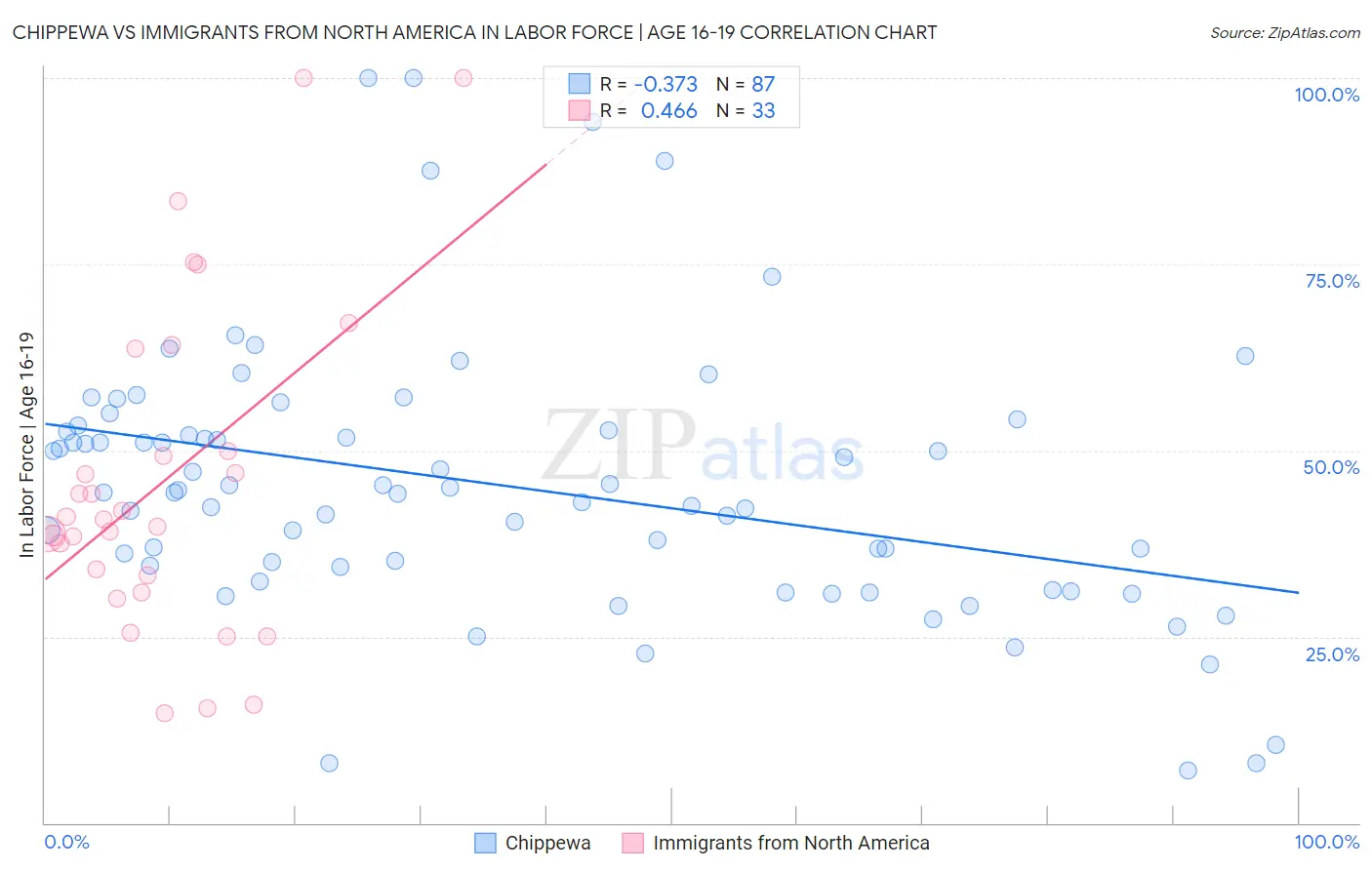 Chippewa vs Immigrants from North America In Labor Force | Age 16-19