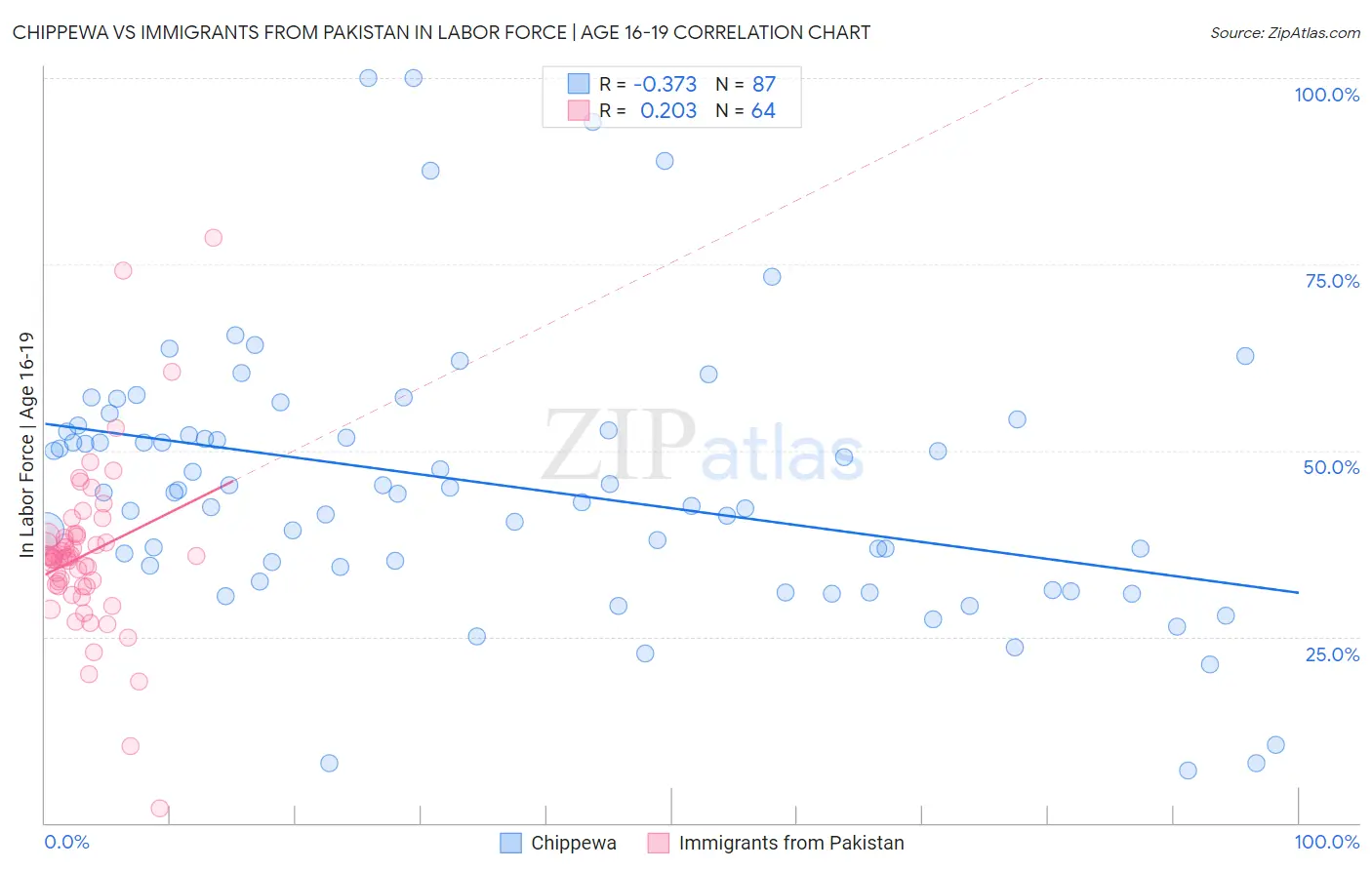 Chippewa vs Immigrants from Pakistan In Labor Force | Age 16-19