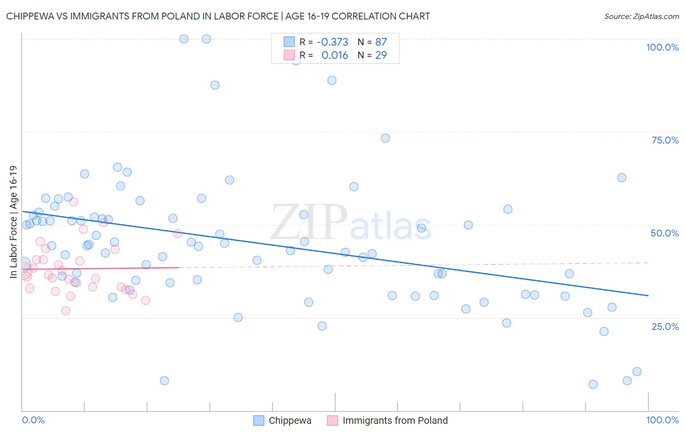 Chippewa vs Immigrants from Poland In Labor Force | Age 16-19