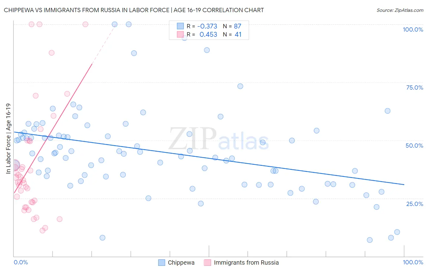 Chippewa vs Immigrants from Russia In Labor Force | Age 16-19