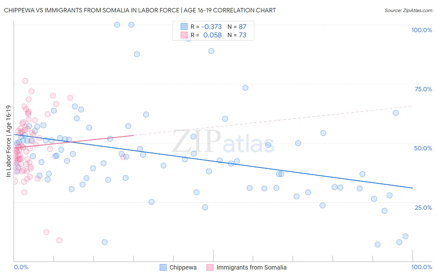 Chippewa vs Immigrants from Somalia In Labor Force | Age 16-19