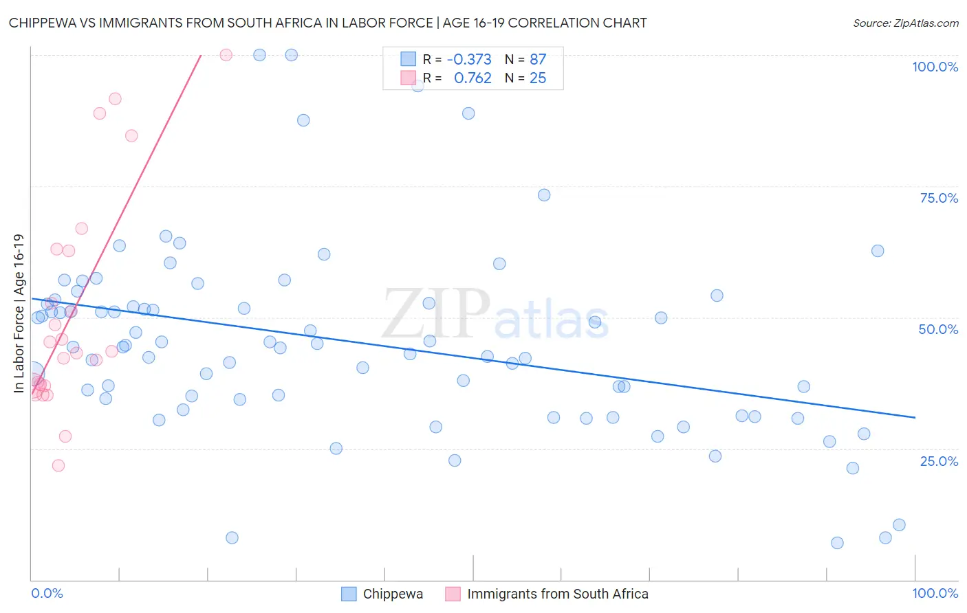 Chippewa vs Immigrants from South Africa In Labor Force | Age 16-19