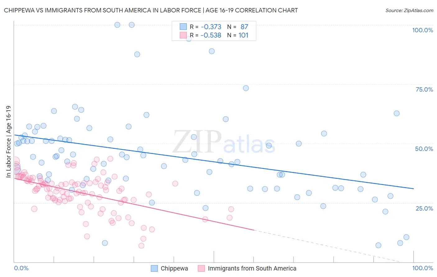 Chippewa vs Immigrants from South America In Labor Force | Age 16-19