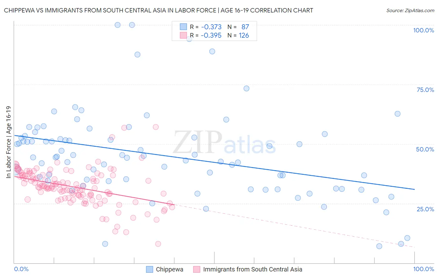 Chippewa vs Immigrants from South Central Asia In Labor Force | Age 16-19