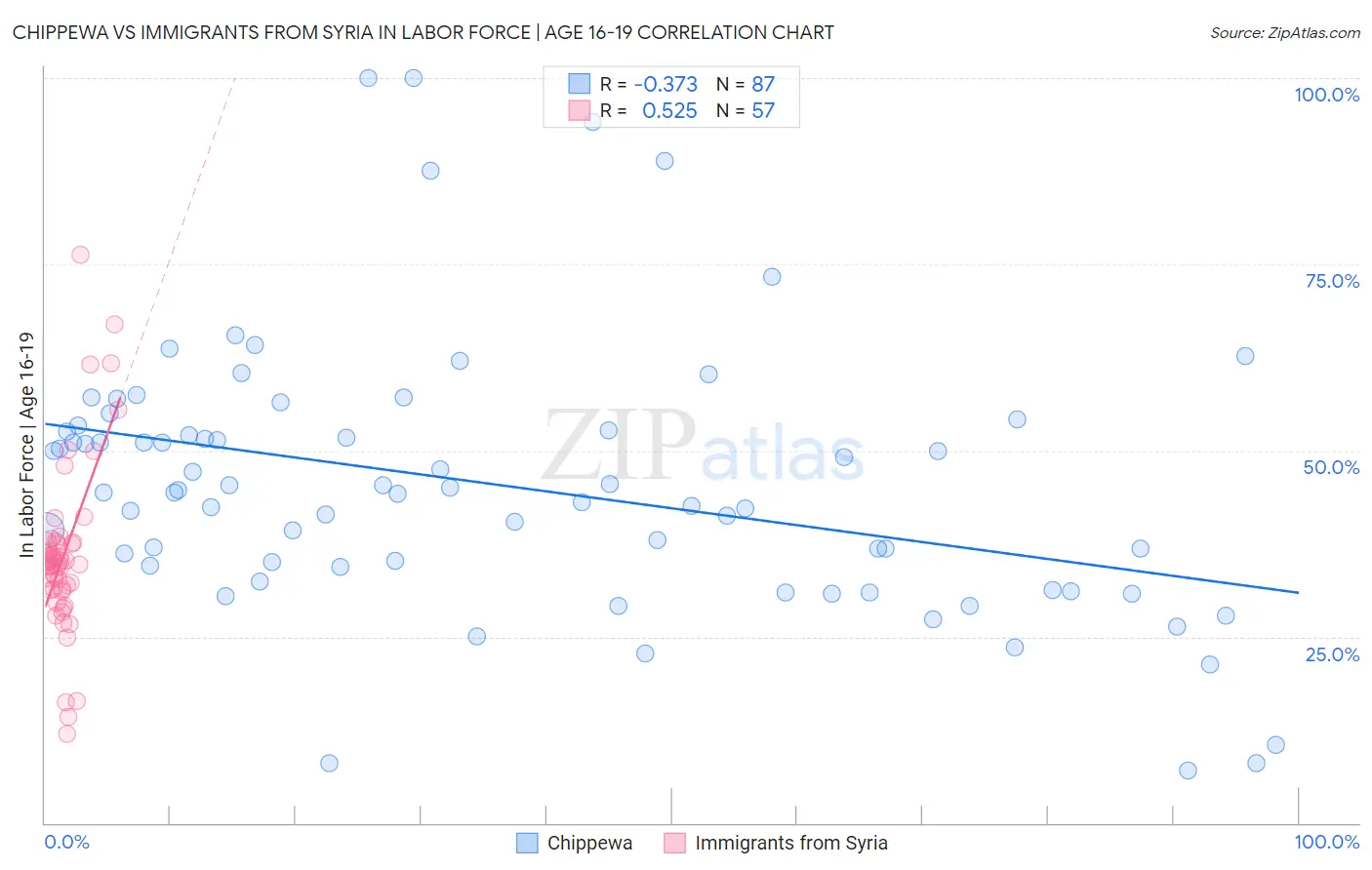 Chippewa vs Immigrants from Syria In Labor Force | Age 16-19