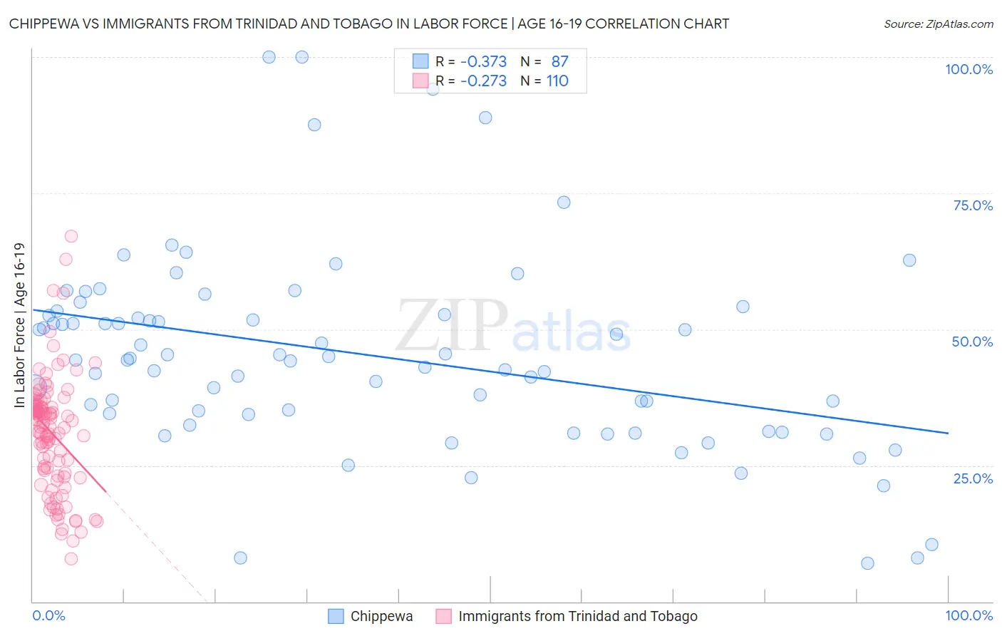Chippewa vs Immigrants from Trinidad and Tobago In Labor Force | Age 16-19