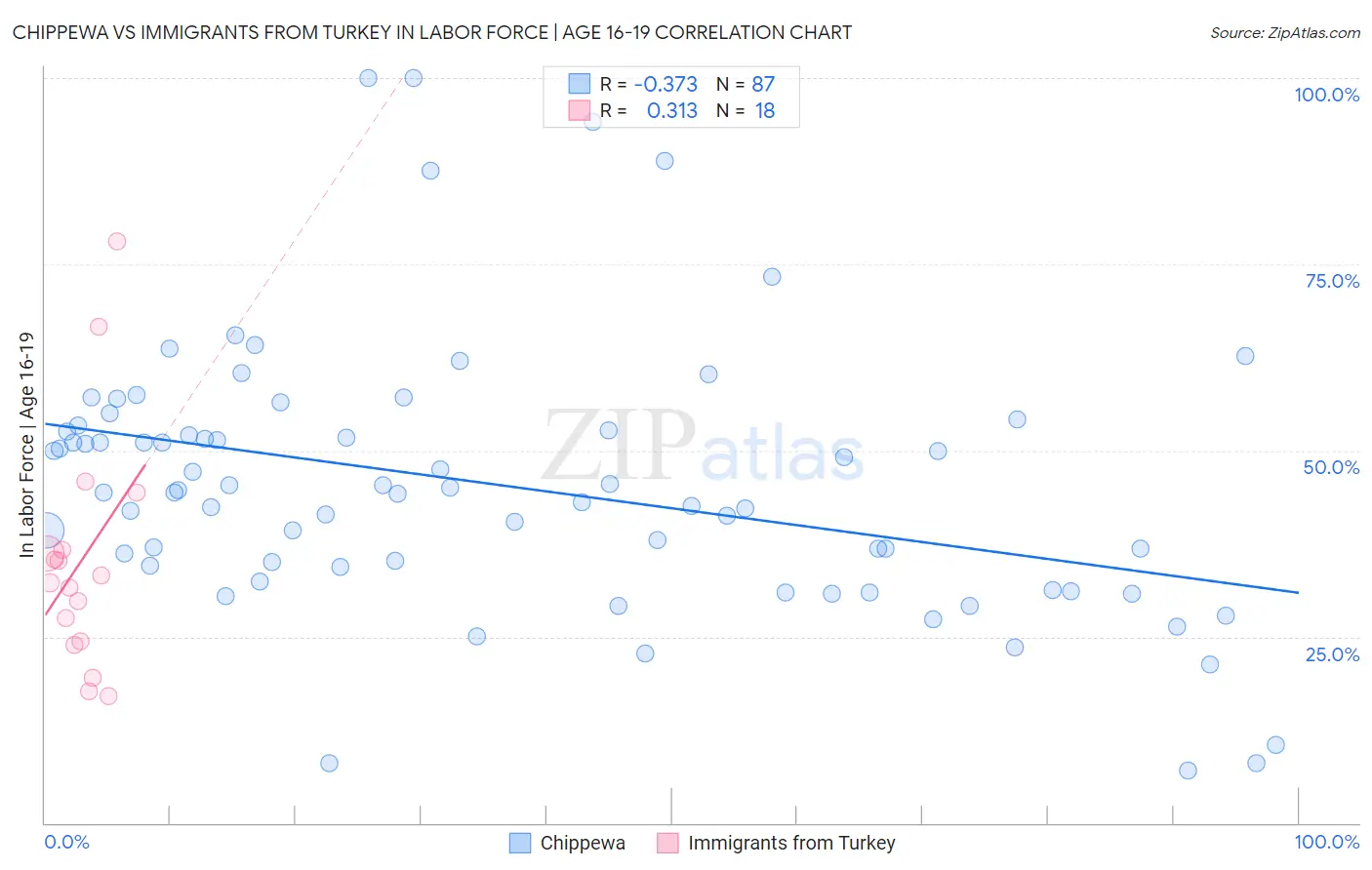 Chippewa vs Immigrants from Turkey In Labor Force | Age 16-19