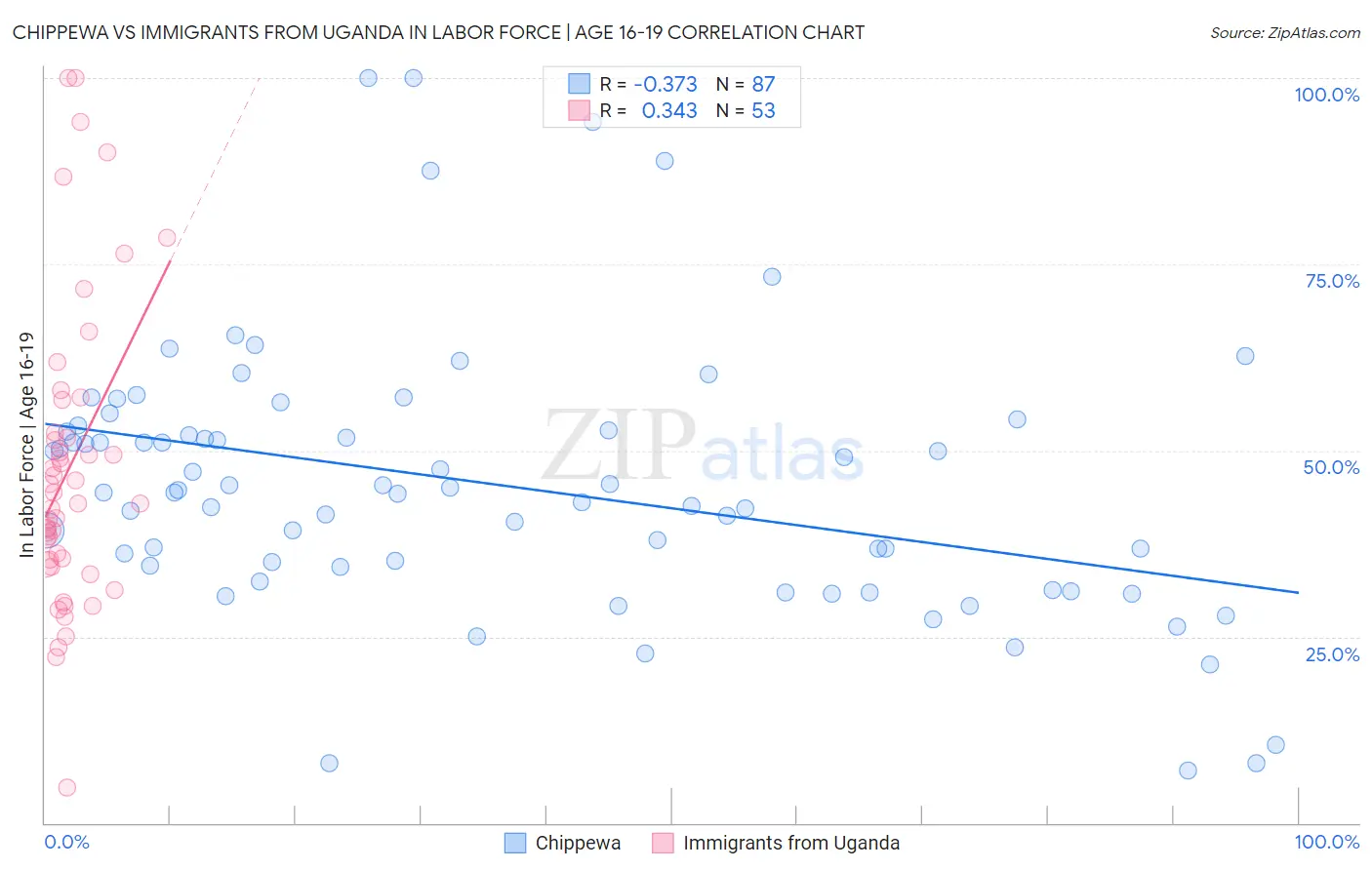 Chippewa vs Immigrants from Uganda In Labor Force | Age 16-19