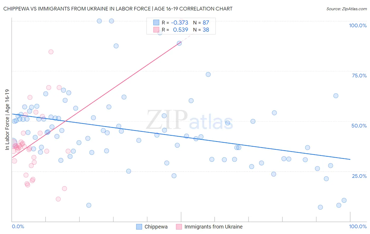 Chippewa vs Immigrants from Ukraine In Labor Force | Age 16-19