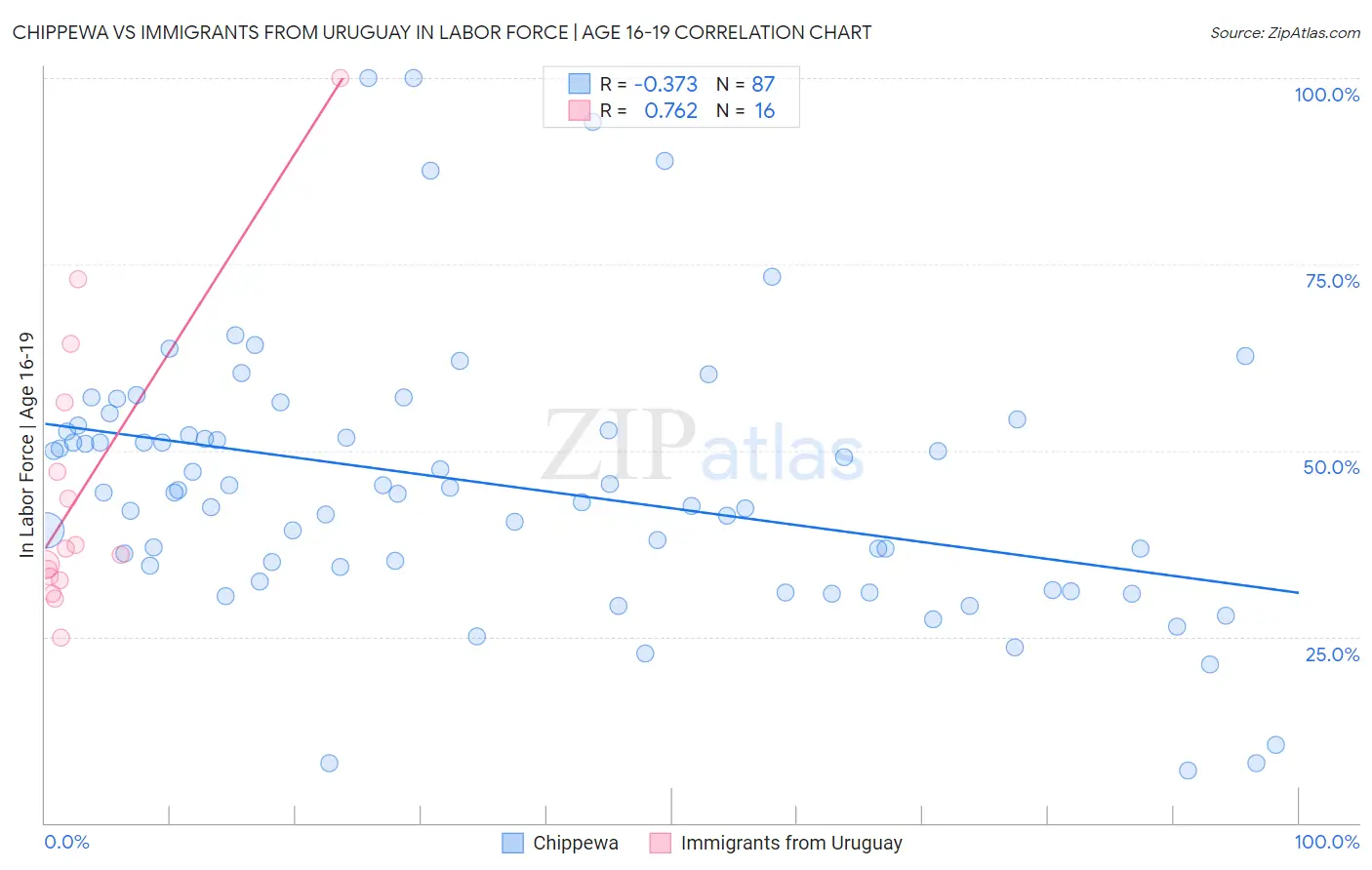 Chippewa vs Immigrants from Uruguay In Labor Force | Age 16-19