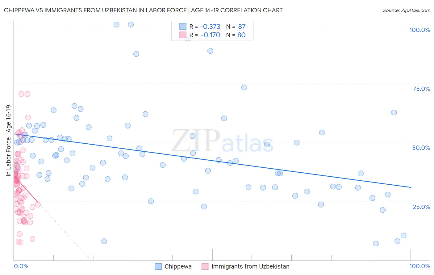 Chippewa vs Immigrants from Uzbekistan In Labor Force | Age 16-19