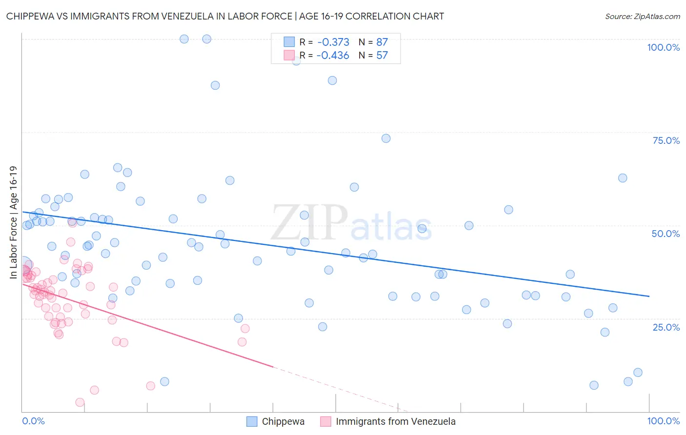 Chippewa vs Immigrants from Venezuela In Labor Force | Age 16-19