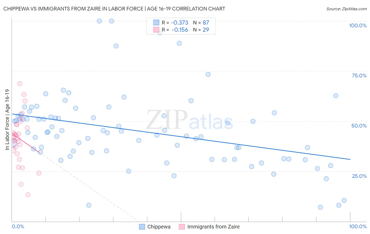 Chippewa vs Immigrants from Zaire In Labor Force | Age 16-19