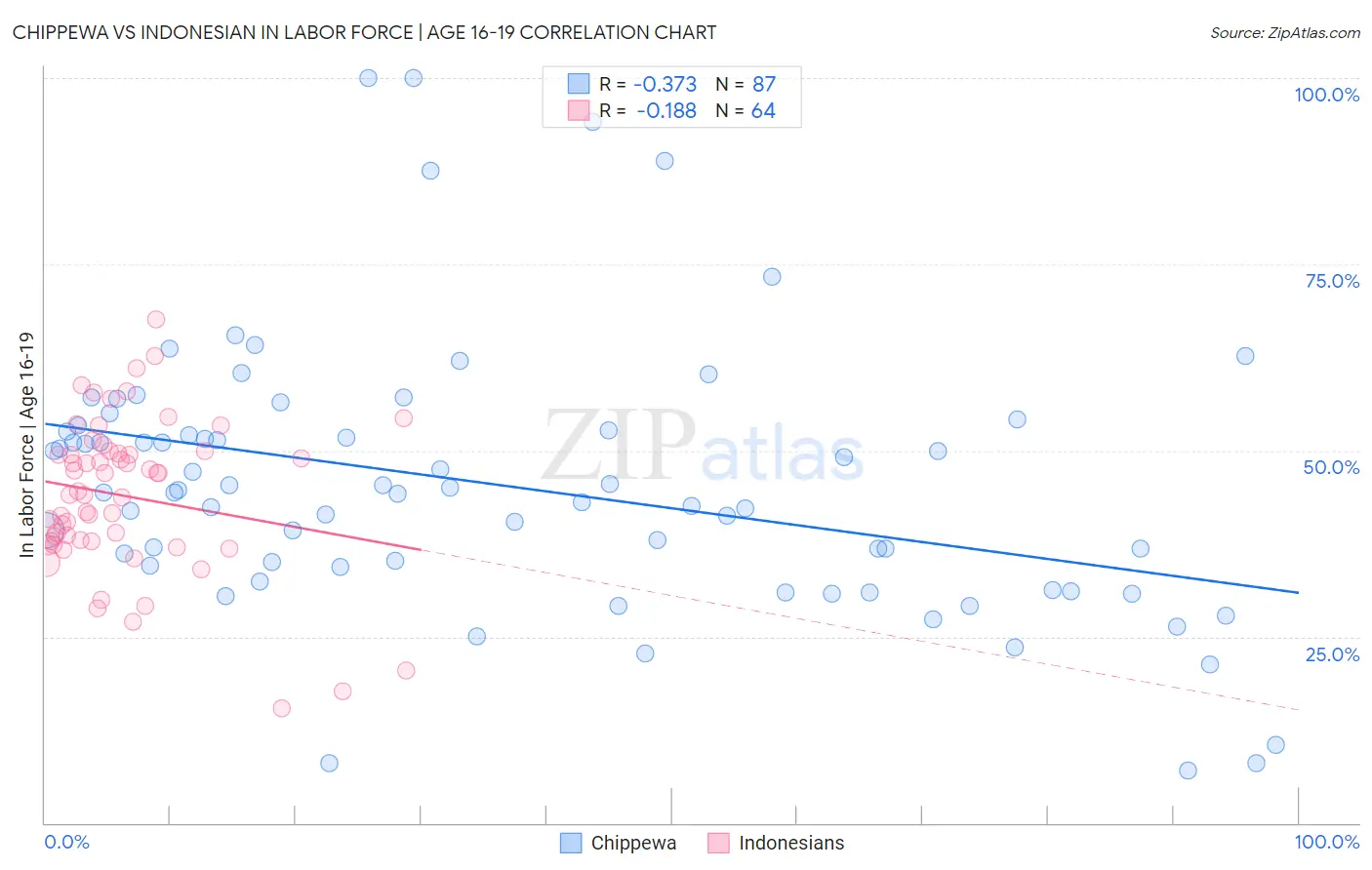 Chippewa vs Indonesian In Labor Force | Age 16-19