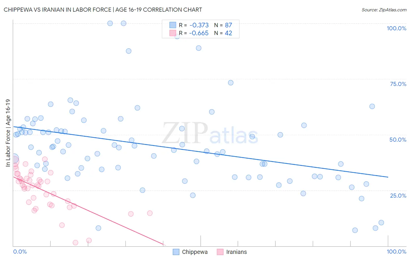 Chippewa vs Iranian In Labor Force | Age 16-19