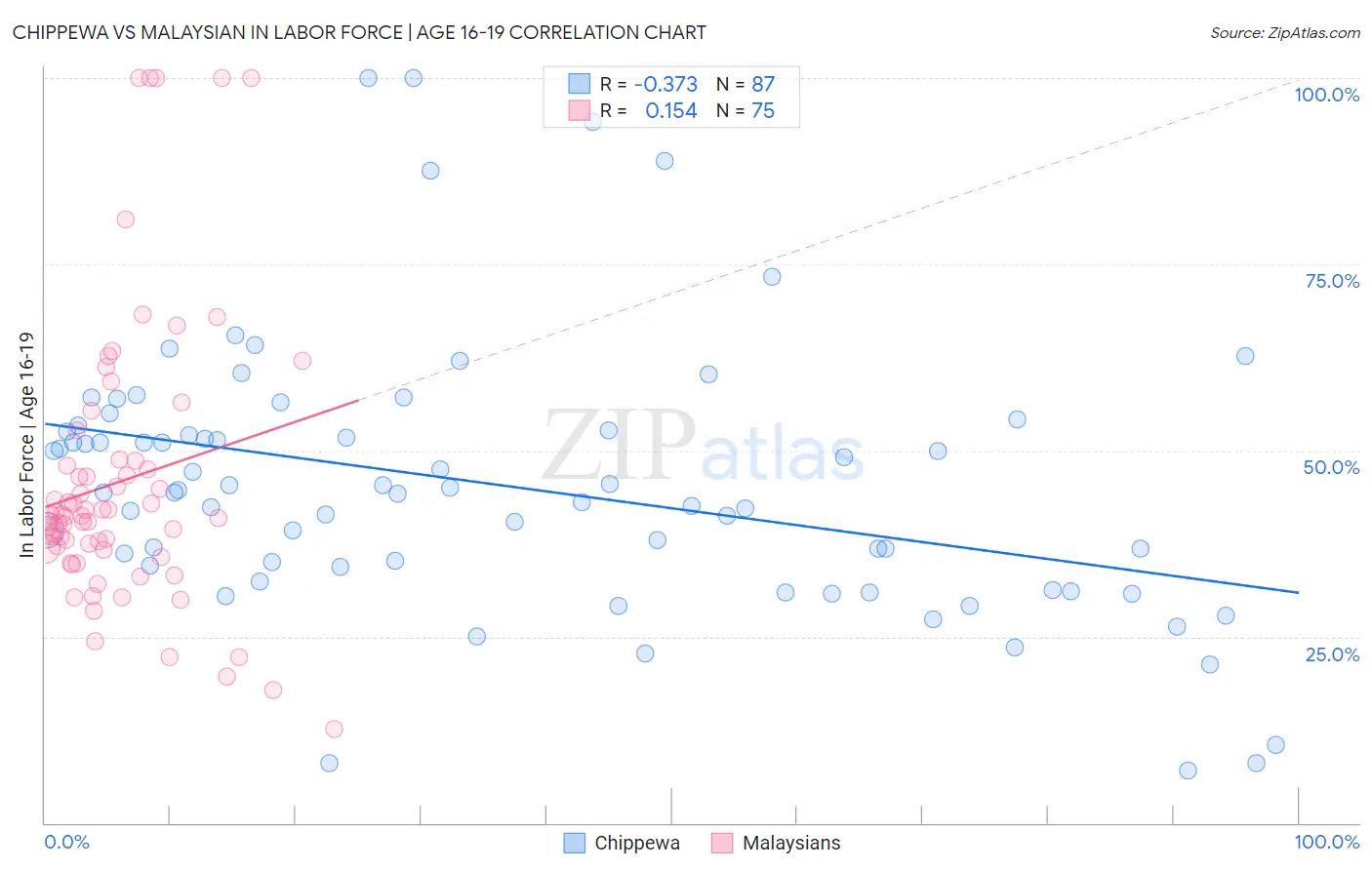 Chippewa vs Malaysian In Labor Force | Age 16-19