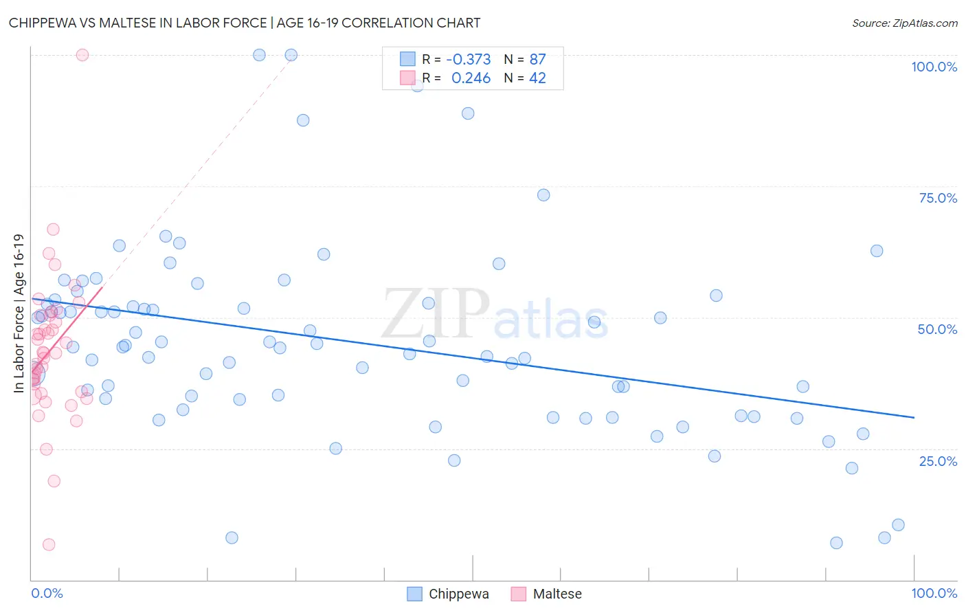 Chippewa vs Maltese In Labor Force | Age 16-19