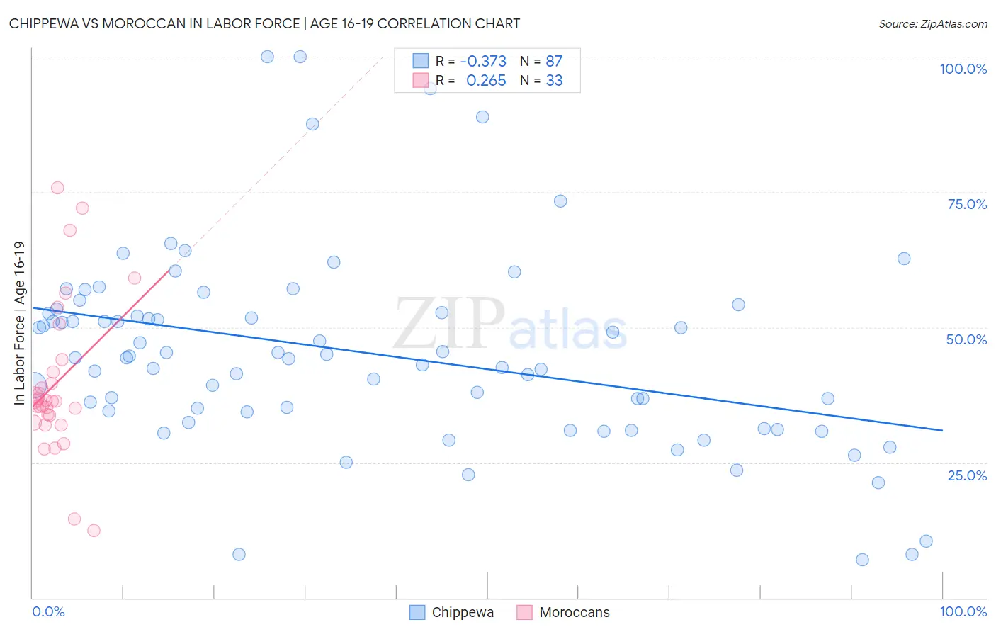 Chippewa vs Moroccan In Labor Force | Age 16-19