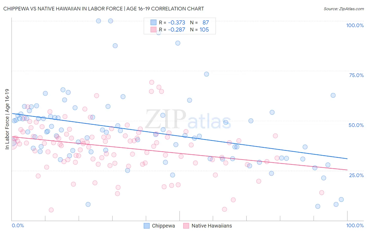 Chippewa vs Native Hawaiian In Labor Force | Age 16-19