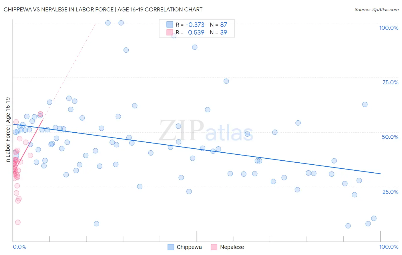 Chippewa vs Nepalese In Labor Force | Age 16-19