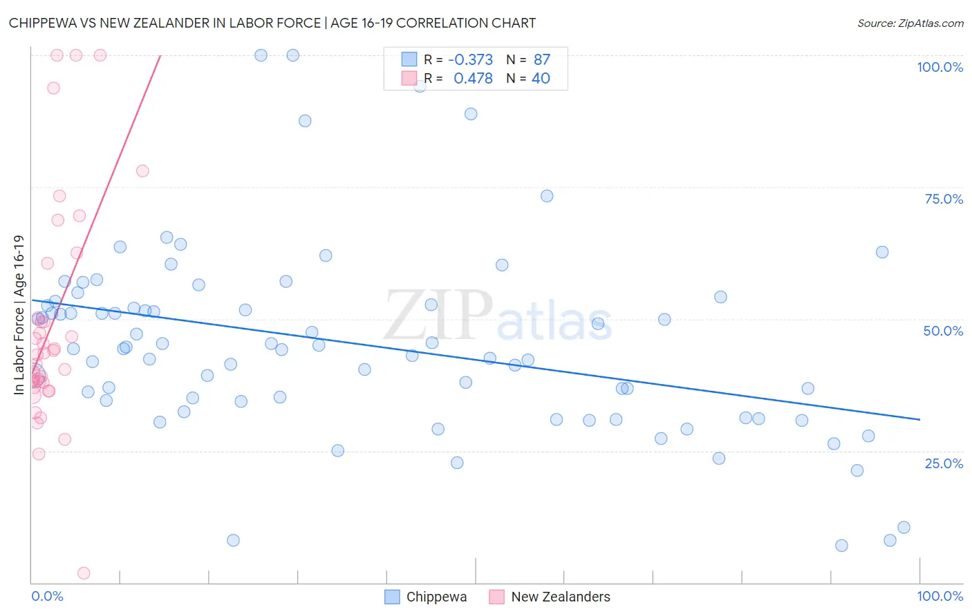 Chippewa vs New Zealander In Labor Force | Age 16-19