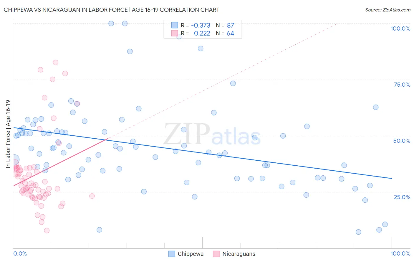 Chippewa vs Nicaraguan In Labor Force | Age 16-19