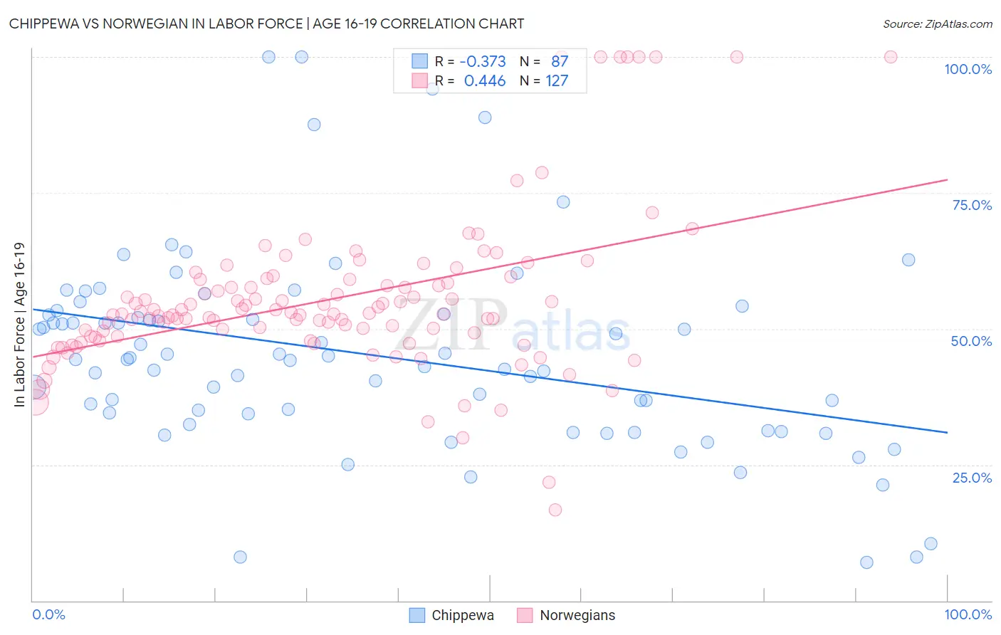 Chippewa vs Norwegian In Labor Force | Age 16-19