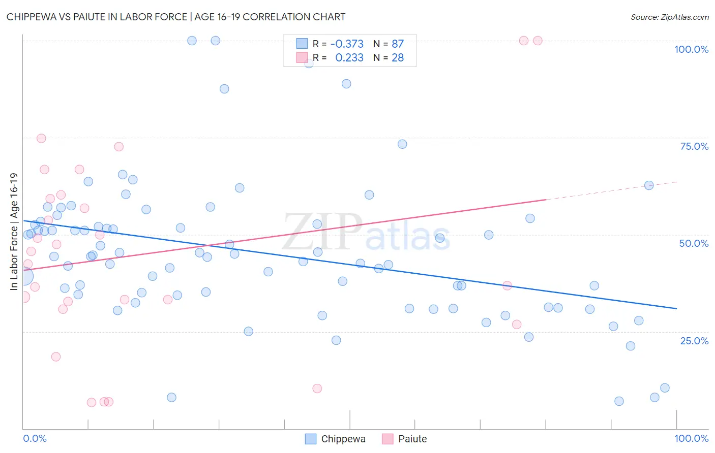 Chippewa vs Paiute In Labor Force | Age 16-19