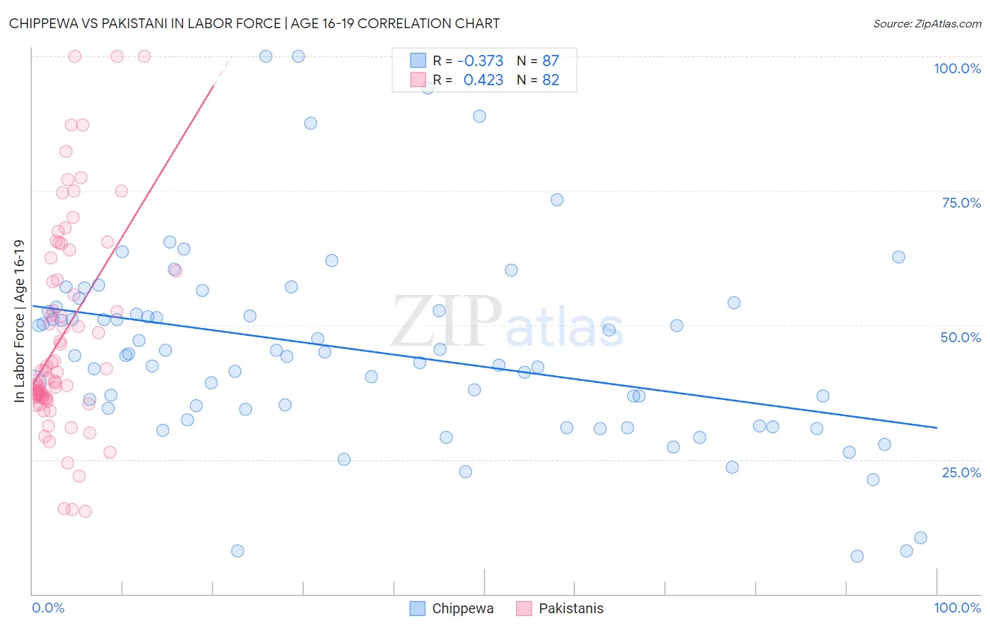 Chippewa vs Pakistani In Labor Force | Age 16-19