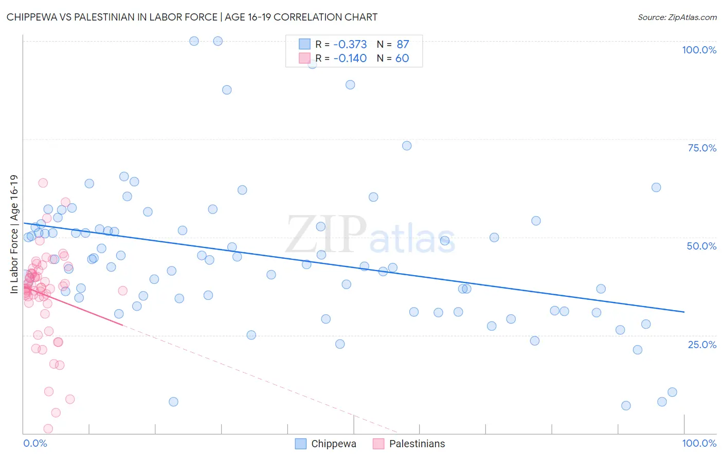 Chippewa vs Palestinian In Labor Force | Age 16-19