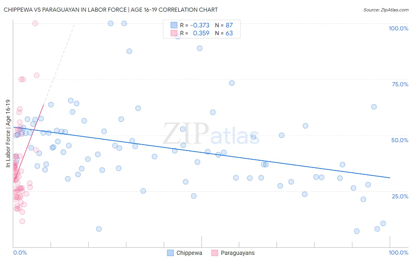 Chippewa vs Paraguayan In Labor Force | Age 16-19