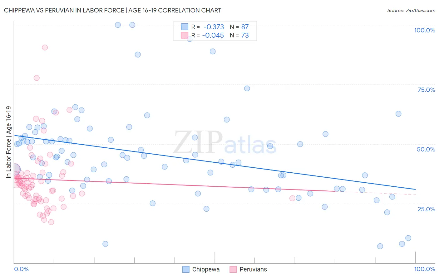 Chippewa vs Peruvian In Labor Force | Age 16-19